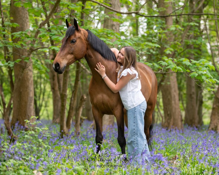 Photo Shoot: Horse