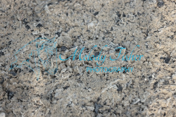 005A0297