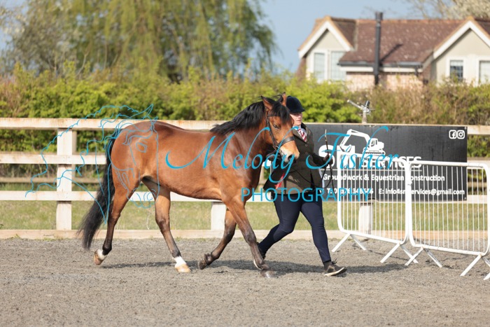 005A0301