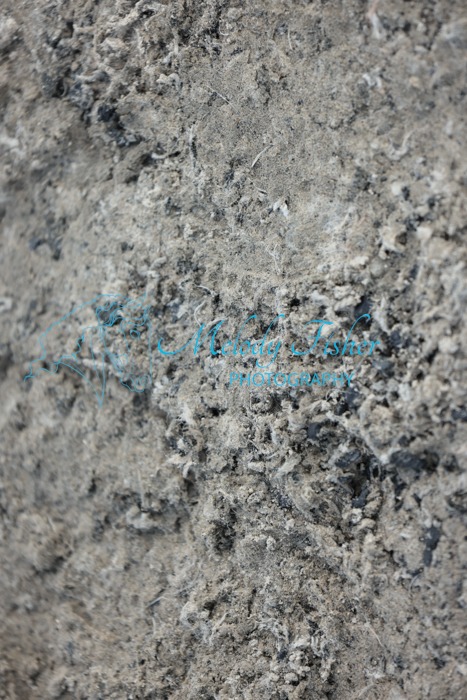 005A0547