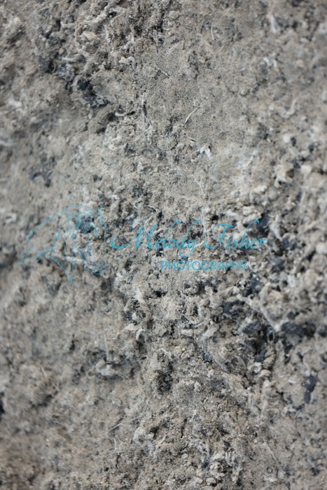 005A0548
