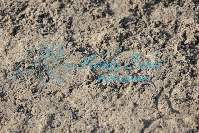 005A0179