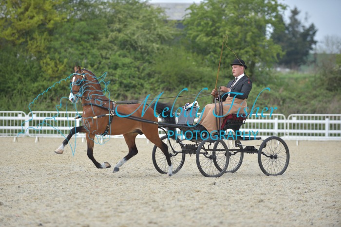 LFP_1007