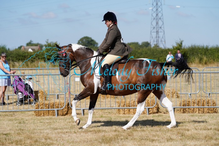 DSC7201