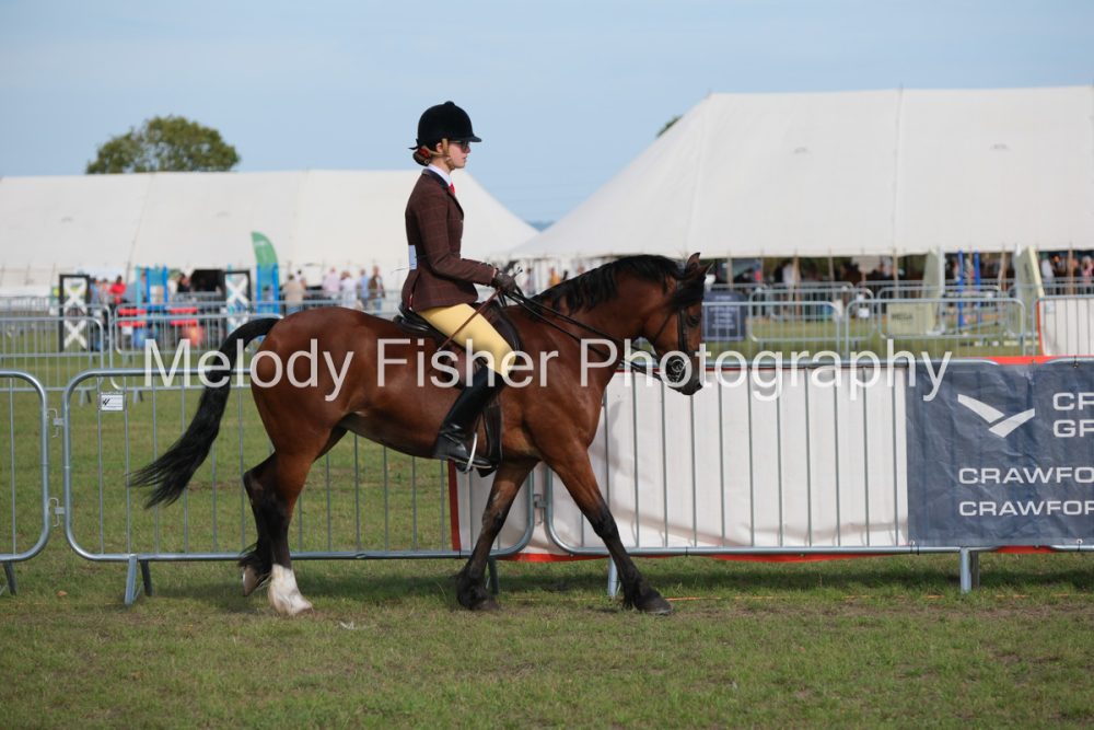 CPRE1774