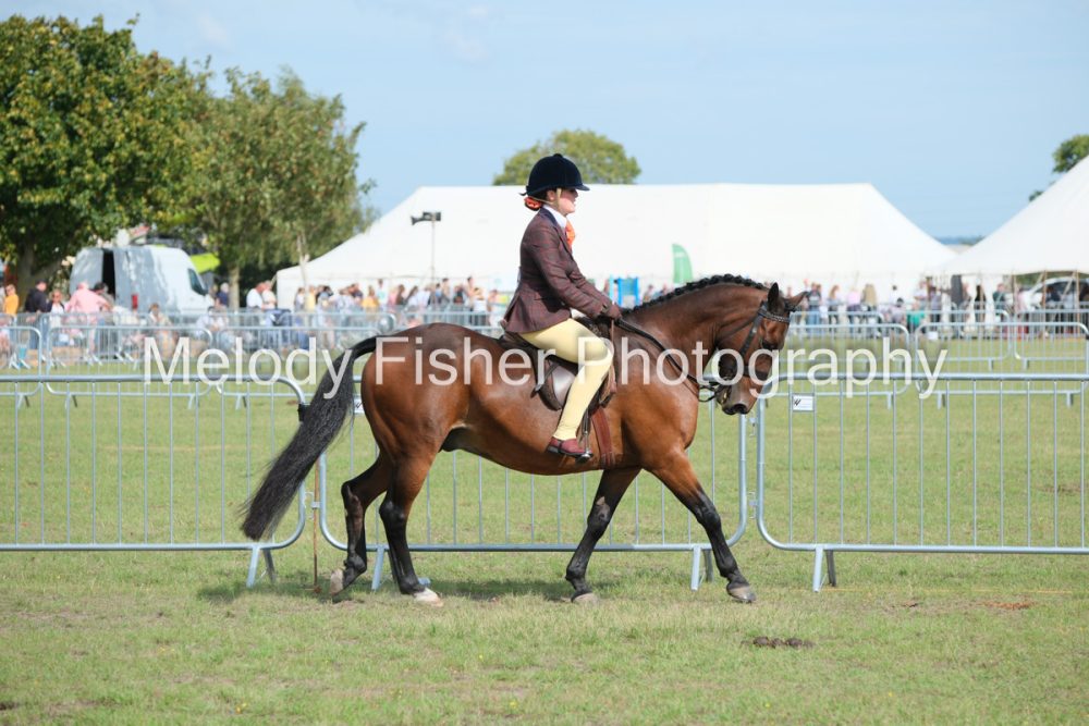 CPRE1641