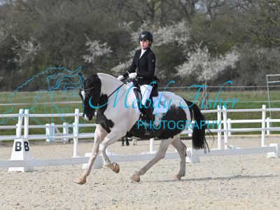 MFP_2564