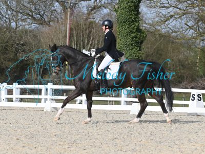 MFP_2968