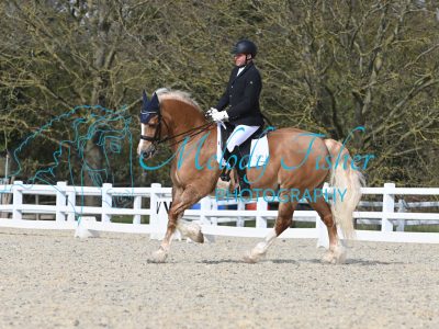 MFP_2810