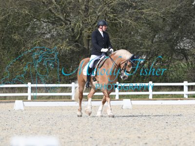 MFP_2819