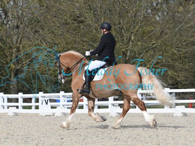MFP_2825