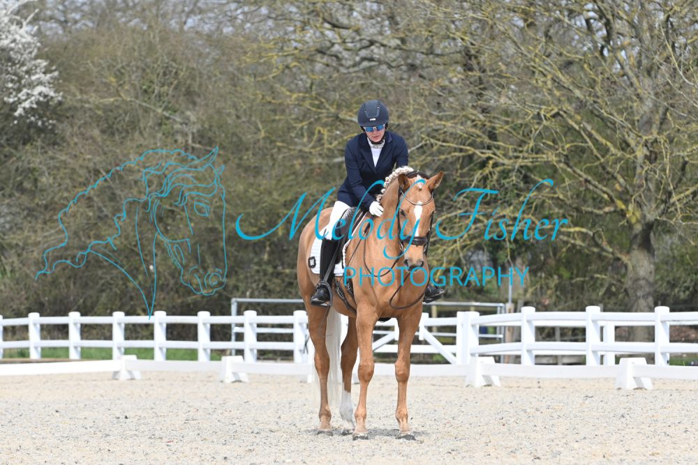 MFP_2528