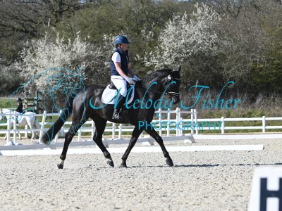 MFP_3977