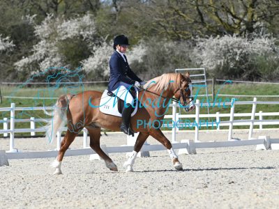 MFP_3618