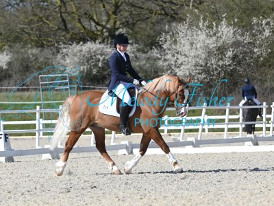 MFP_3619