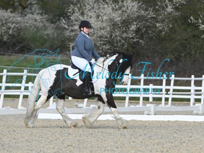 MFP_2991
