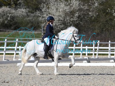 MFP_3538