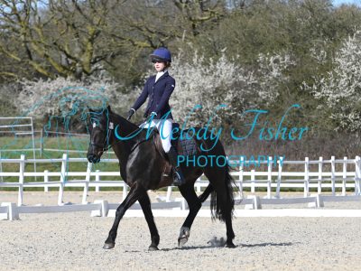 MFP_3217