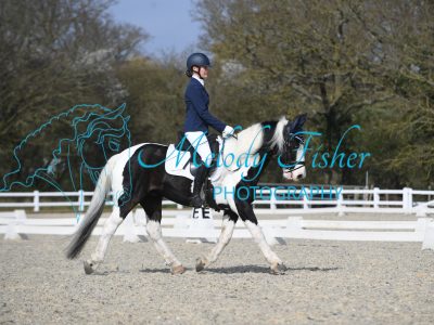 MFP_2919
