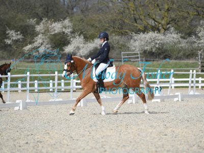 MFP_2436