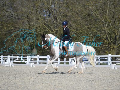 MFP_2628