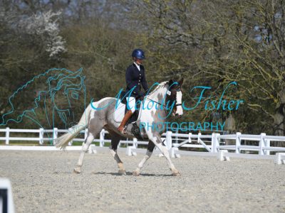MFP_2631