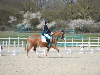 MFP_2443