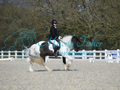 MFP_2678