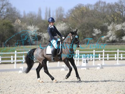 MFP_2691