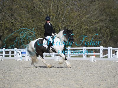 MFP_2679-1