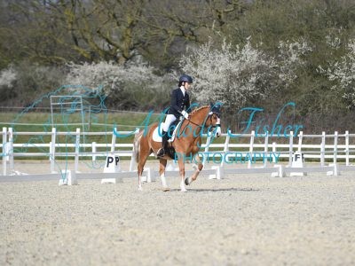 MFP_2445