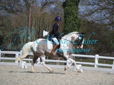 MFP_2638