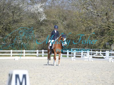 MFP_2536