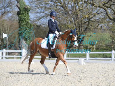 MFP_2538