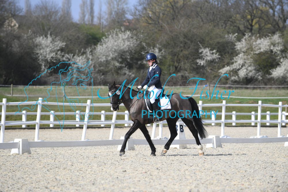 MFP_2597