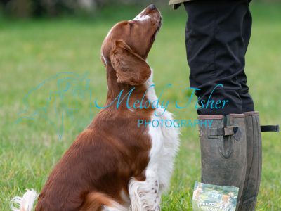 MFP_4540