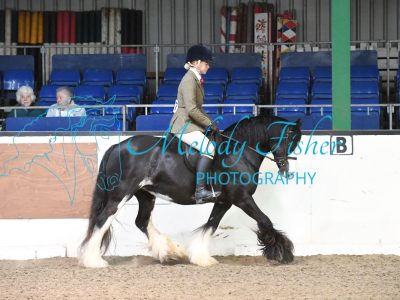 MFP_3352