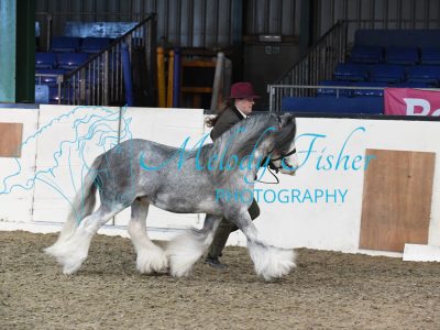 MFP_3587