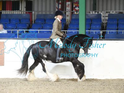 MFP_3360