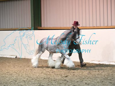 MFP_3589