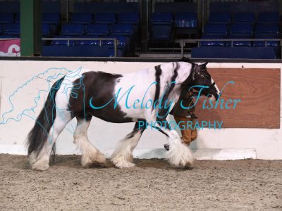 MFP_3597