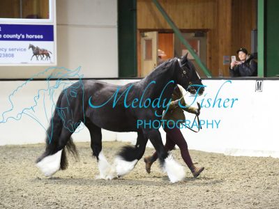 MFP_3437