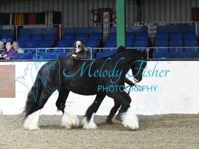 MFP_3439