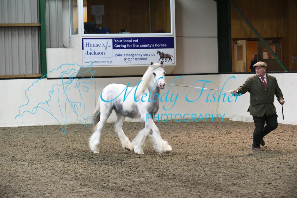 MFP_3446
