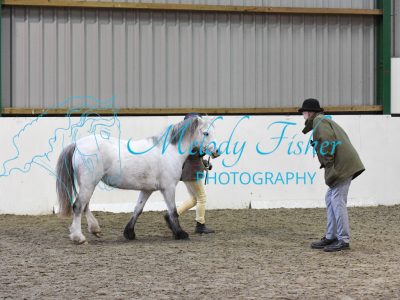 MFP_4297