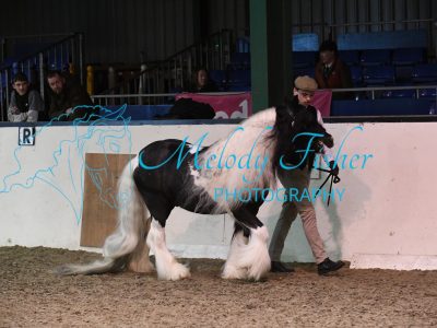 MFP_4446