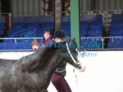 MFP_3695