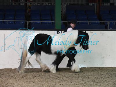 MFP_4092