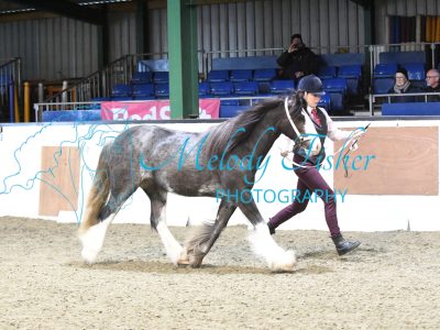 MFP_3694
