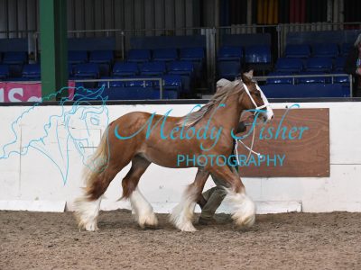 MFP_3834